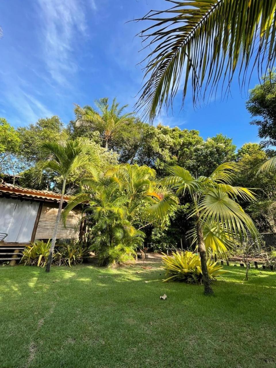 Privacidade, Sossego E Axe Em Taipu De Fora Barra Grande  Luaran gambar