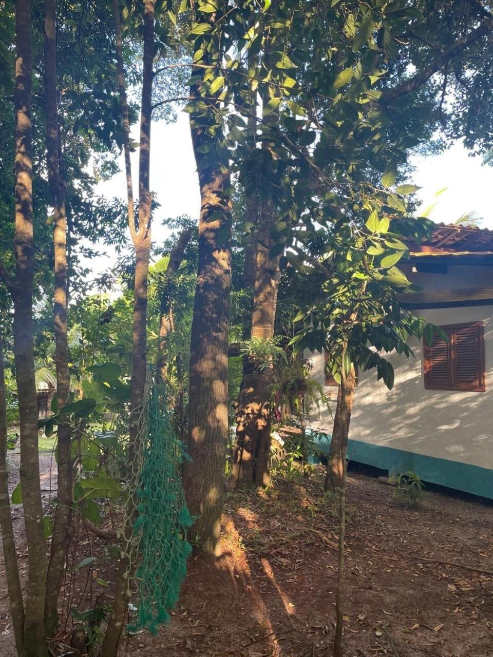 Privacidade, Sossego E Axe Em Taipu De Fora Barra Grande  Luaran gambar