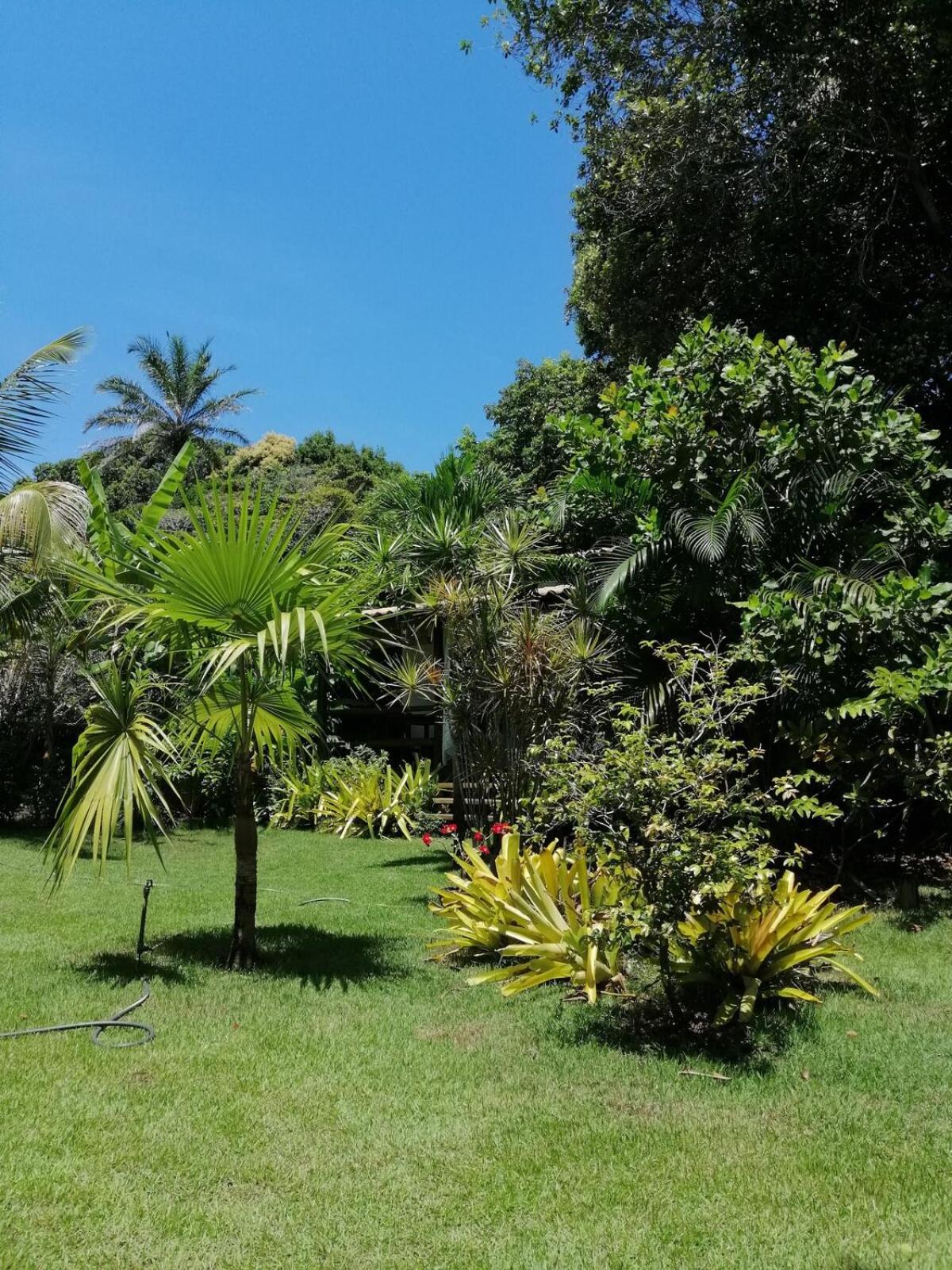Privacidade, Sossego E Axe Em Taipu De Fora Barra Grande  Luaran gambar